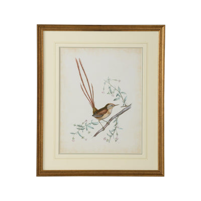 Chelsea House Delicate Birds Frame