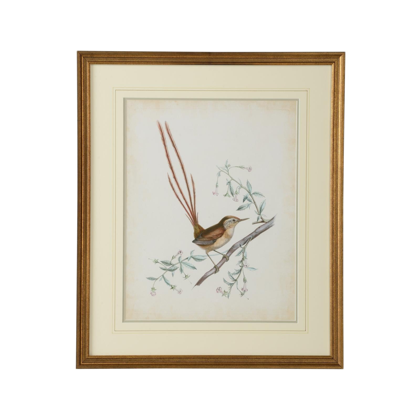 Chelsea House Delicate Birds Frame