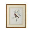Chelsea House Delicate Birds Frame