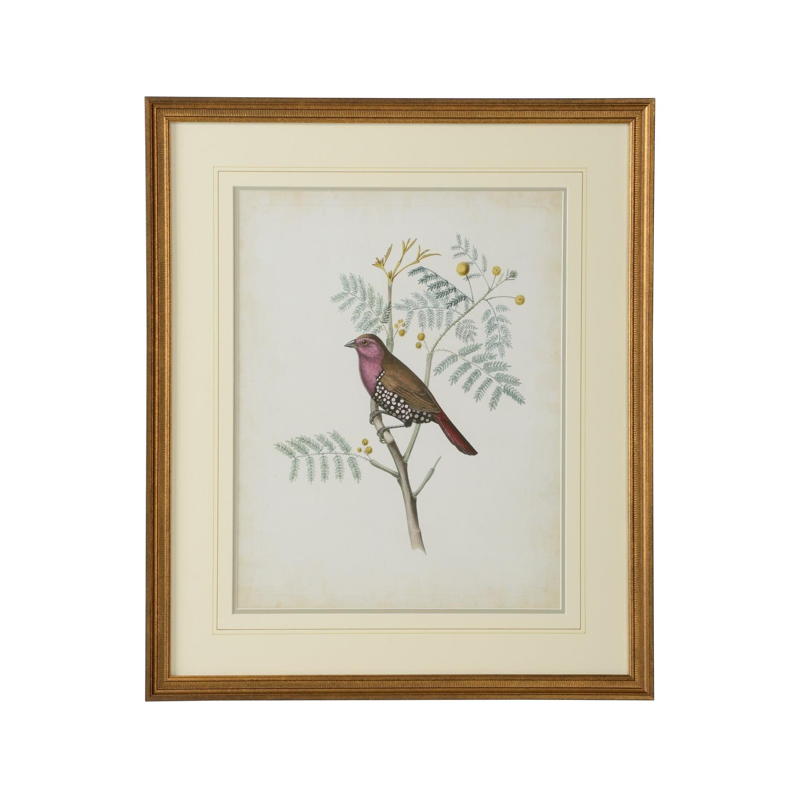 Chelsea House Delicate Birds Frame