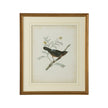 Chelsea House Delicate Birds Frame