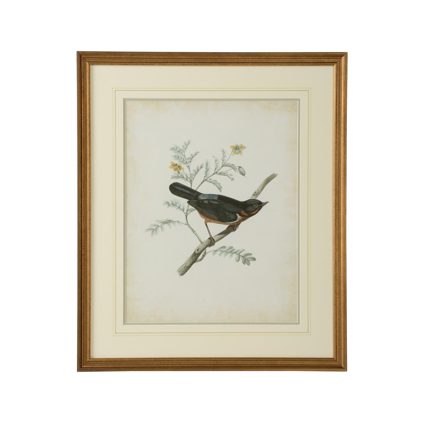 Chelsea House Delicate Birds Frame