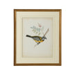 Chelsea House Delicate Birds Frame