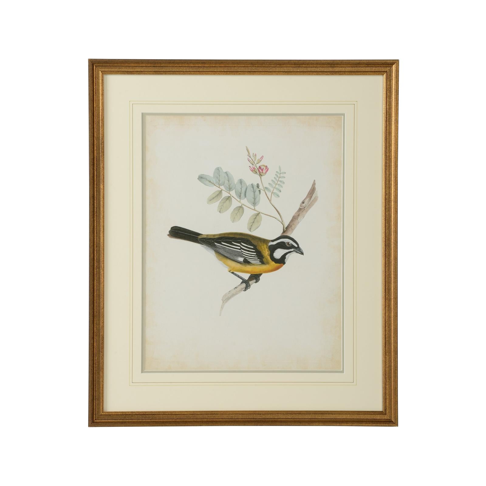 Chelsea House Delicate Birds Frame