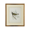 Chelsea House Delicate Birds Frame