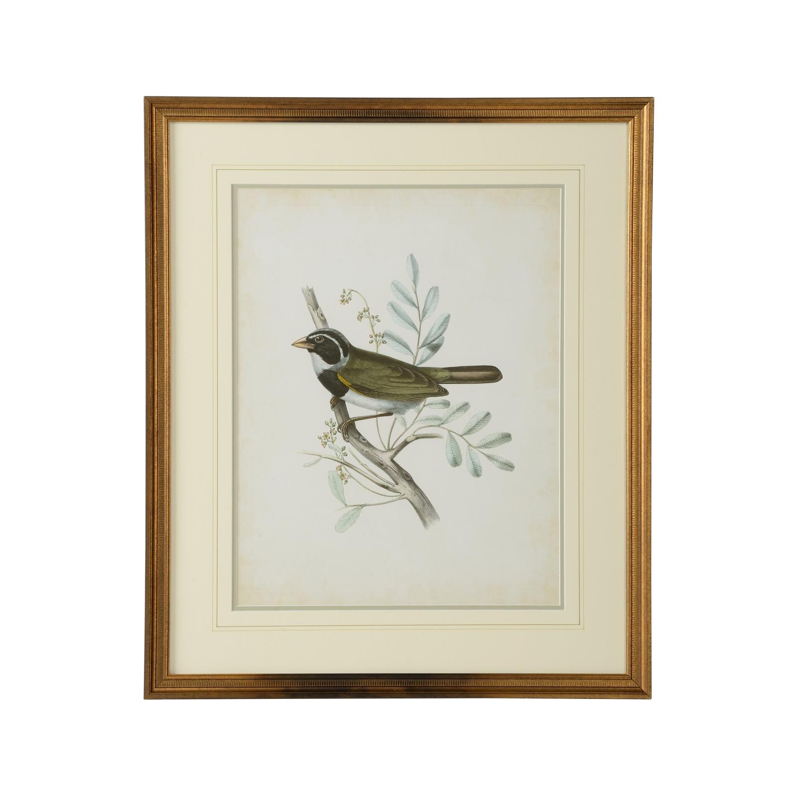 Chelsea House Delicate Birds Frame