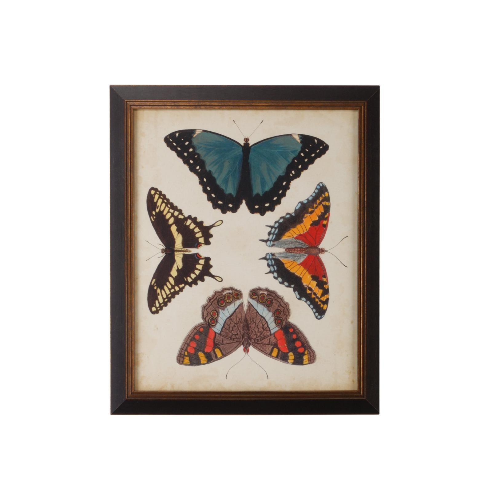 Chelsea House Display of Butterflies Frame