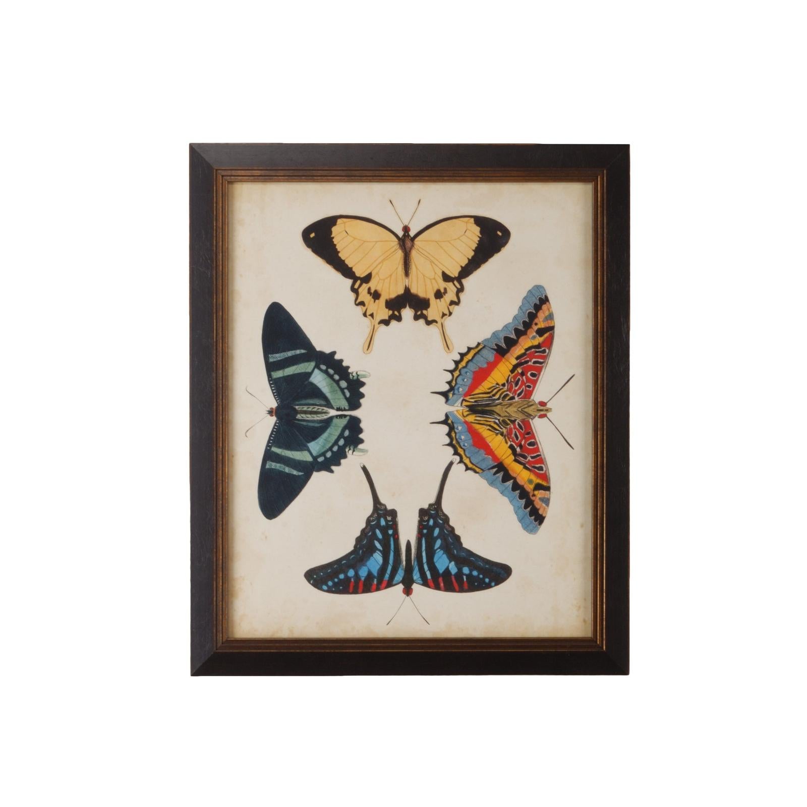 Chelsea House Display of Butterflies Frame