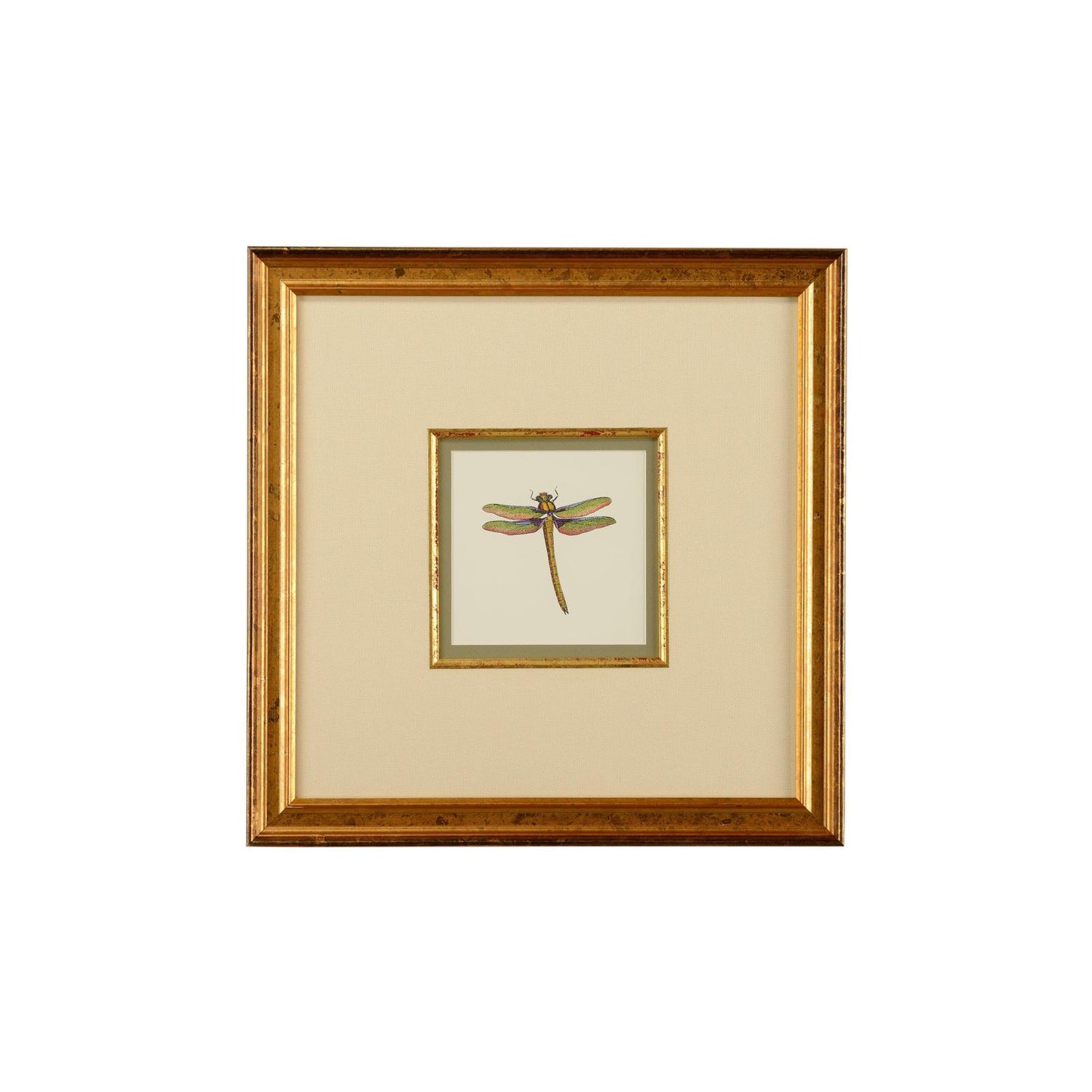 Chelsea House Miniature Dragonfly Frame