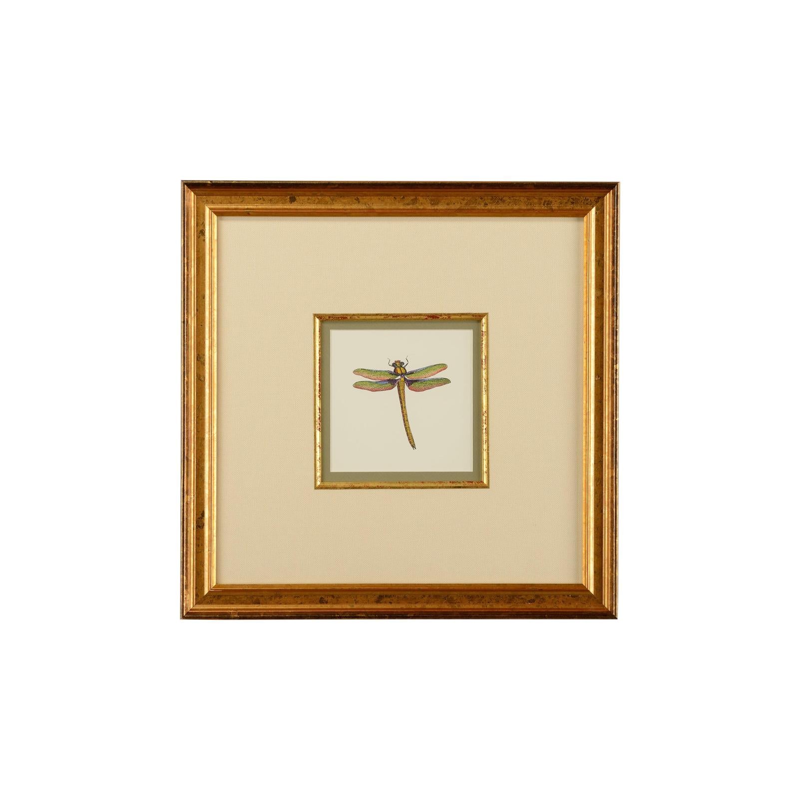 Chelsea House Miniature Dragonfly Frame