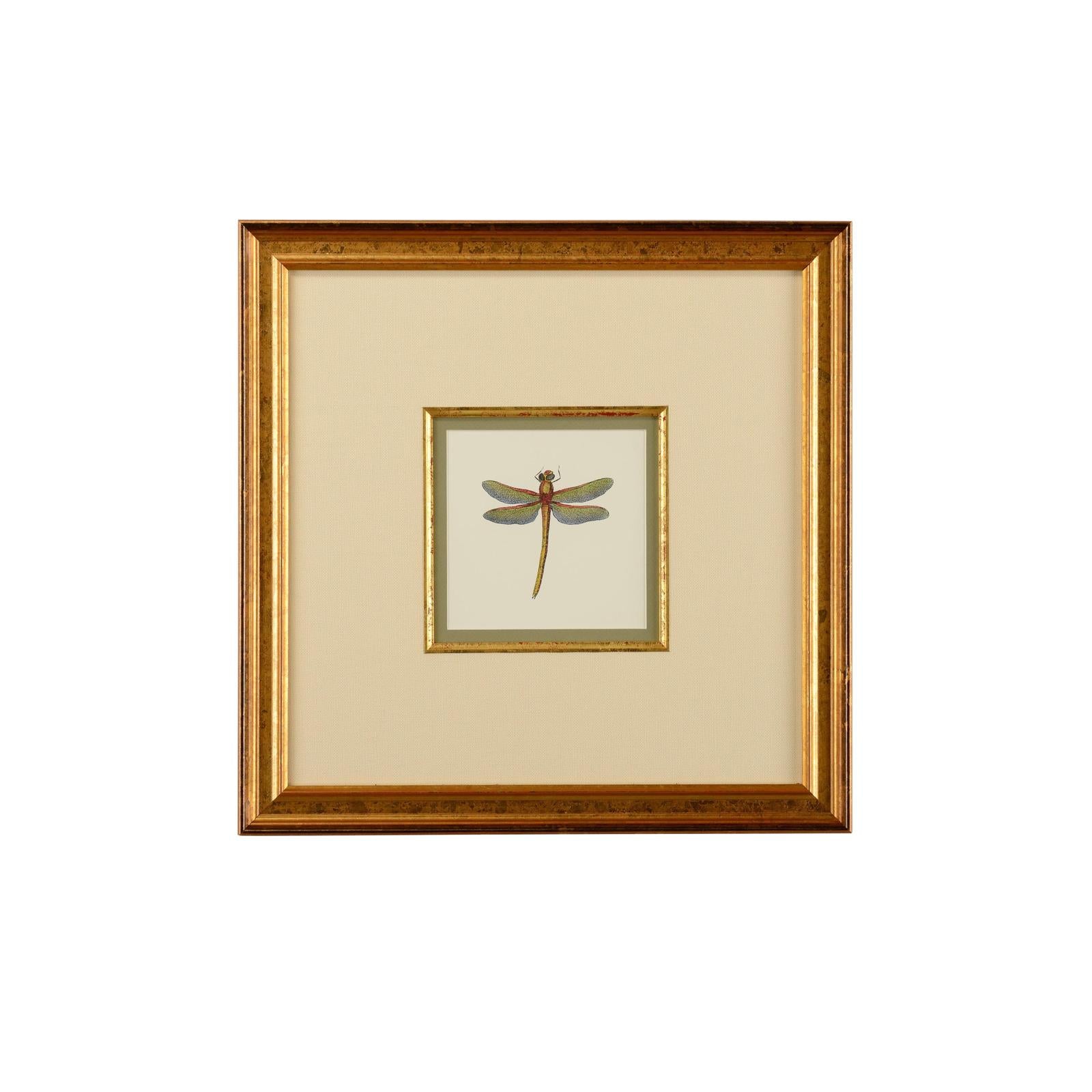 Chelsea House Miniature Dragonfly Frame