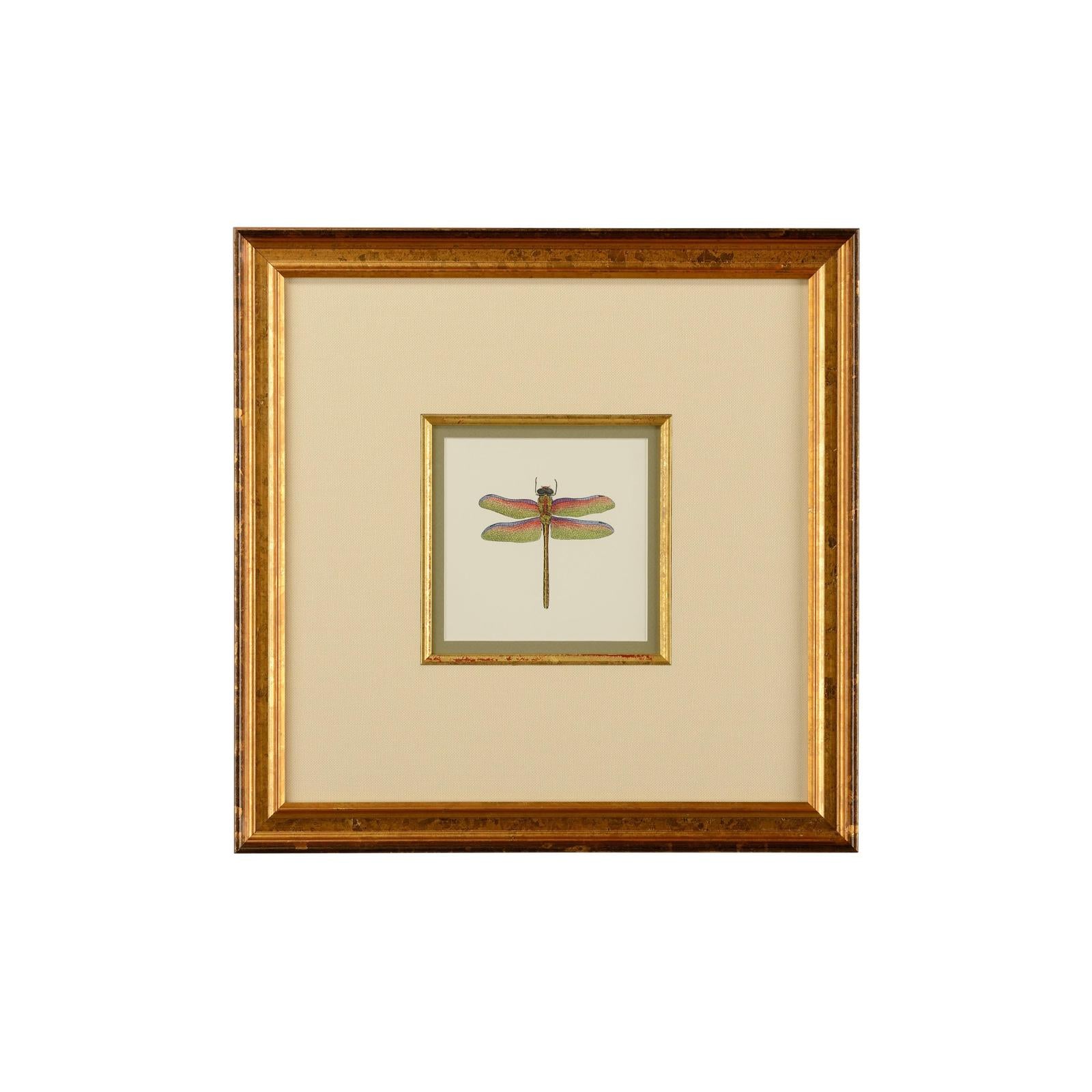 Chelsea House Miniature Dragonfly Frame