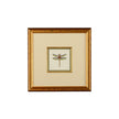 Chelsea House Miniature Dragonfly Frame
