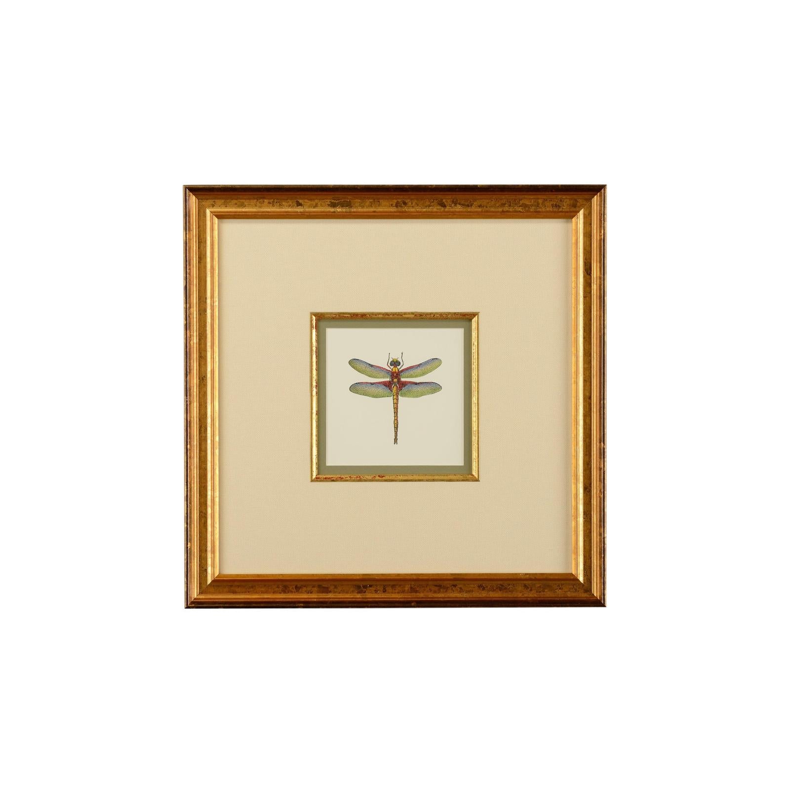 Chelsea House Miniature Dragonfly Frame