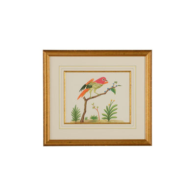 Chelsea House Multicolor Bird Frame