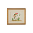 Chelsea House Multicolor Bird Frame