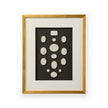Chelsea House The Grand Tour Intaglios Art Frame