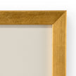 Chelsea House The Grand Tour Intaglios Art Frame