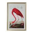 Chelsea House American Flamingo Frame