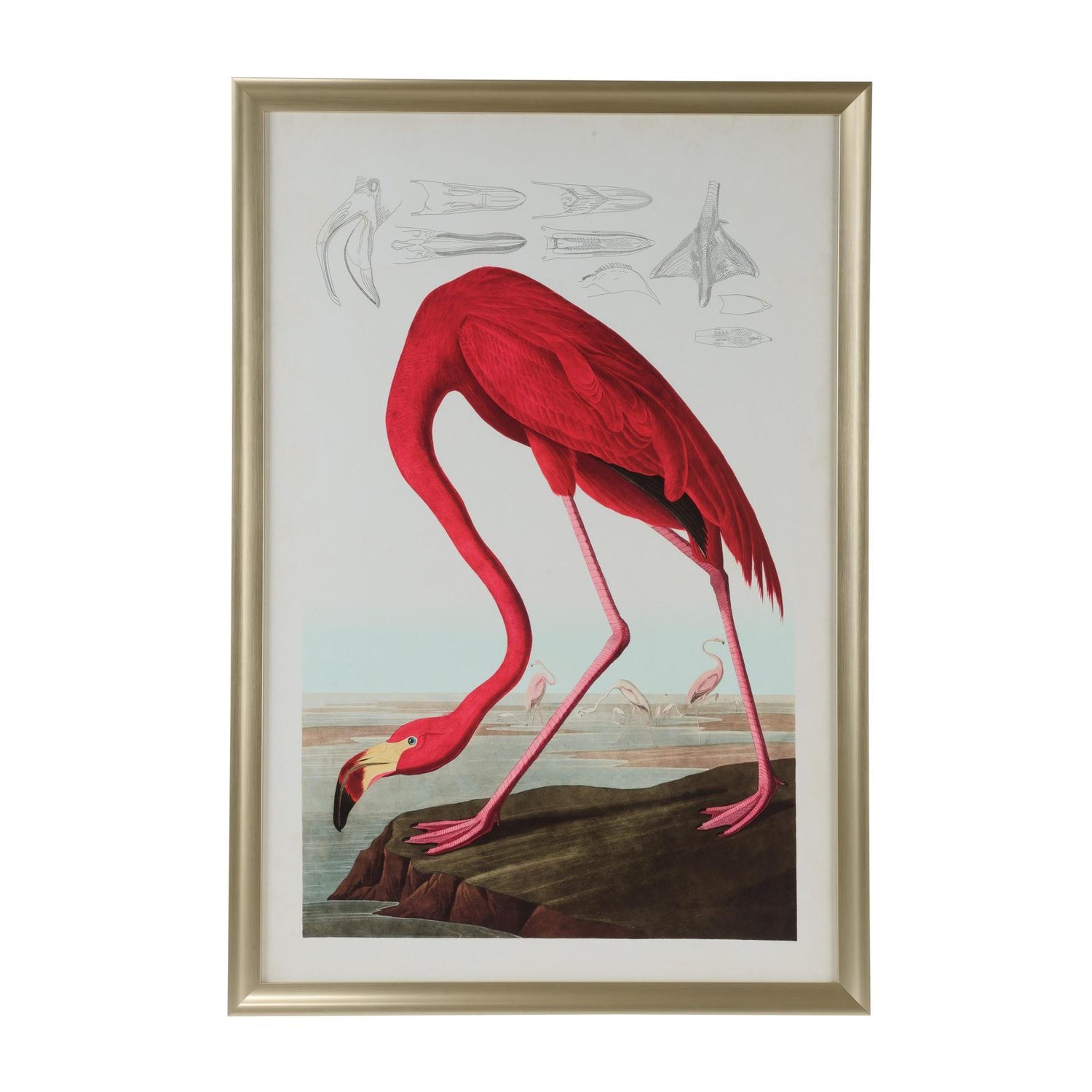 Chelsea House American Flamingo Frame