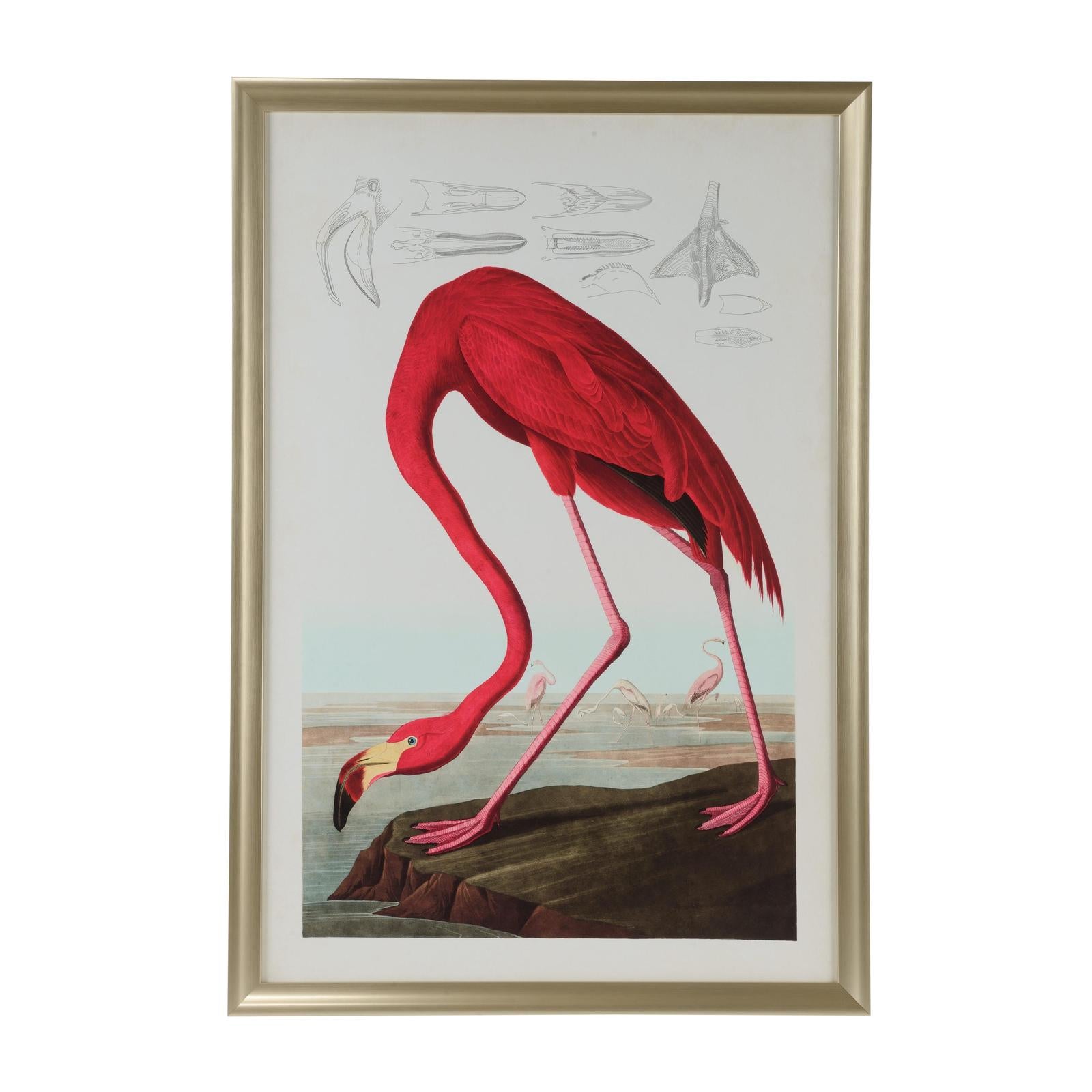 Chelsea House American Flamingo Frame