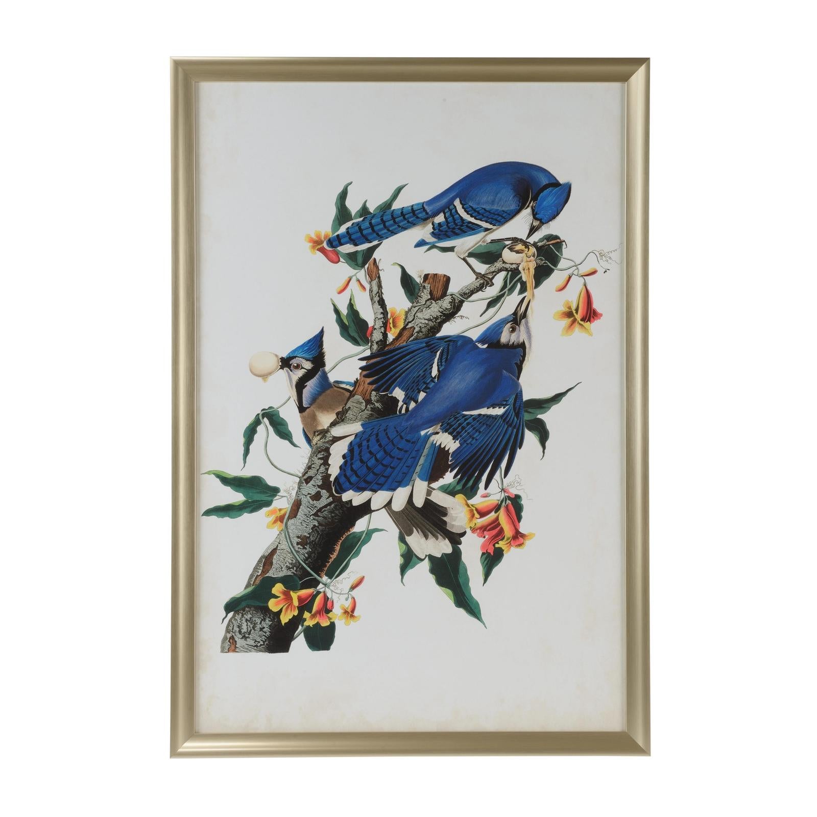 Chelsea House Audubon Blue Jay Frame