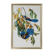 Chelsea House Audubon Blue Jay Frame