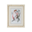 Chelsea House Pastel Parrots Frame