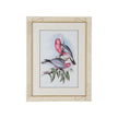 Chelsea House Pastel Parrots Frame