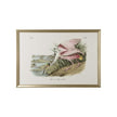 Chelsea House Roseate Spoonbill Frame