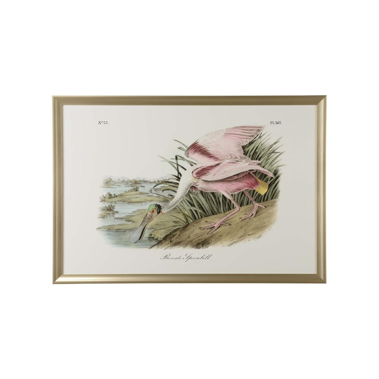Chelsea House Roseate Spoonbill Frame