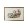 Chelsea House Roseate Spoonbill Frame