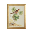 Chelsea House Watercolor Birds Frame