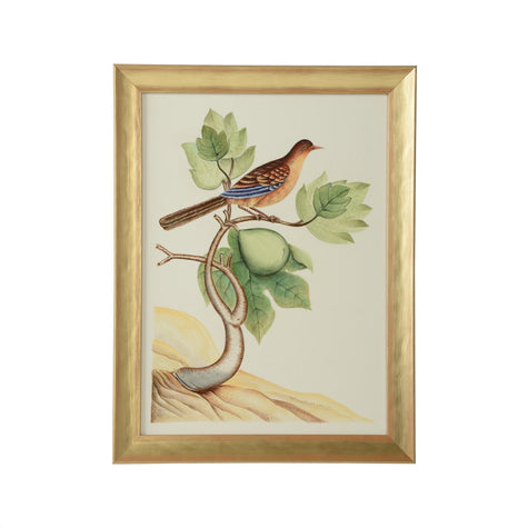 Chelsea House Watercolor Birds Frame