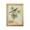 Chelsea House Watercolor Birds Frame