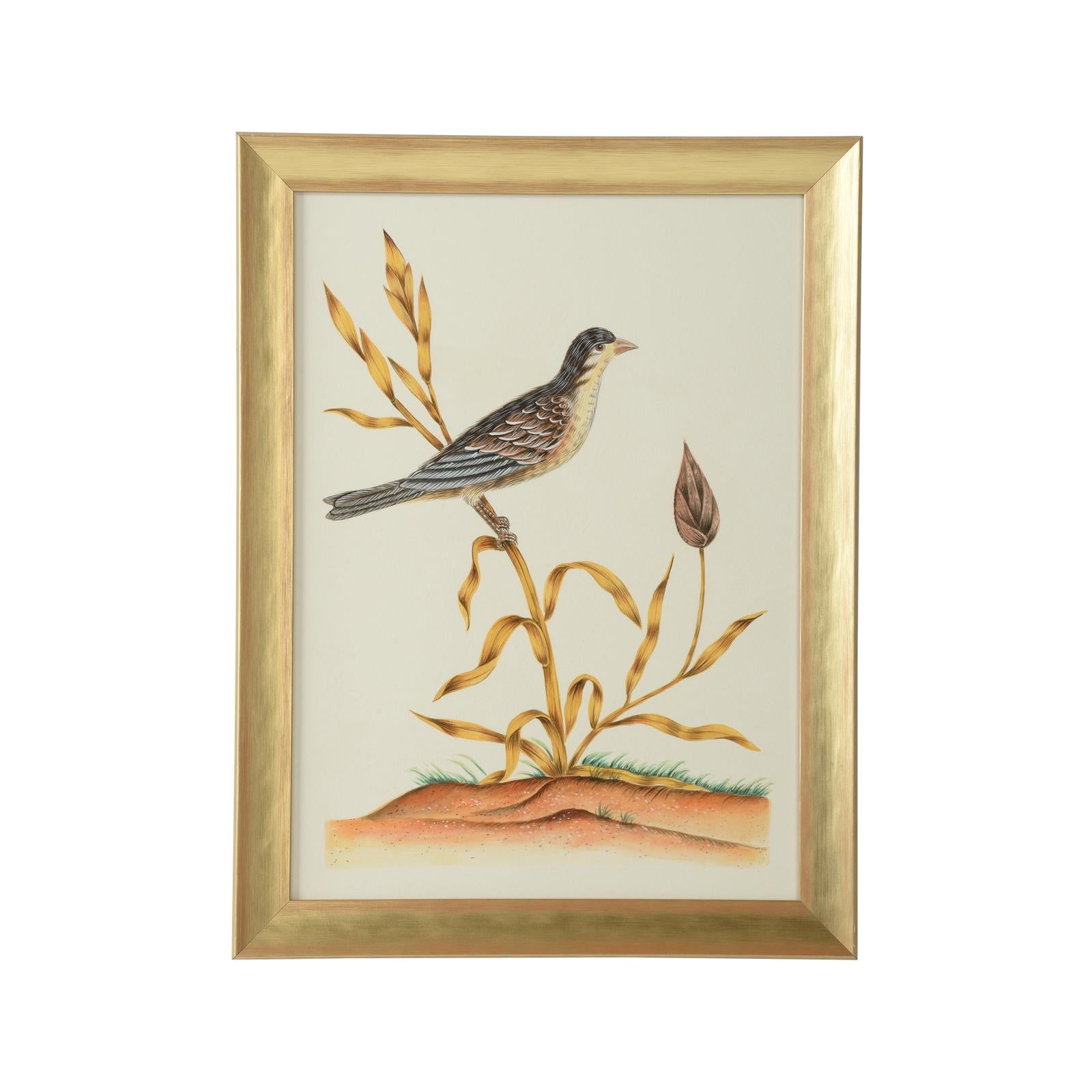 Chelsea House Watercolor Birds Frame