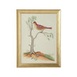 Chelsea House Watercolor Birds Frame