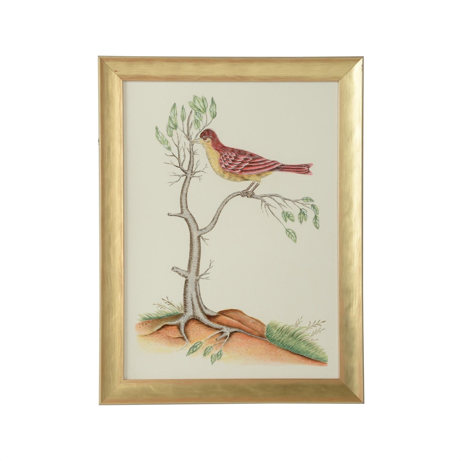 Chelsea House Watercolor Birds Frame