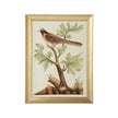 Chelsea House Watercolor Birds Frame