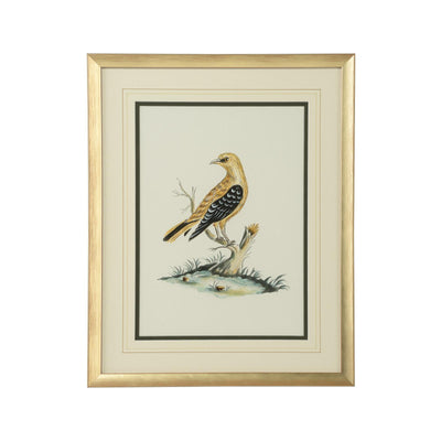 Chelsea House Cain Birds Frame