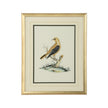 Chelsea House Cain Birds Frame