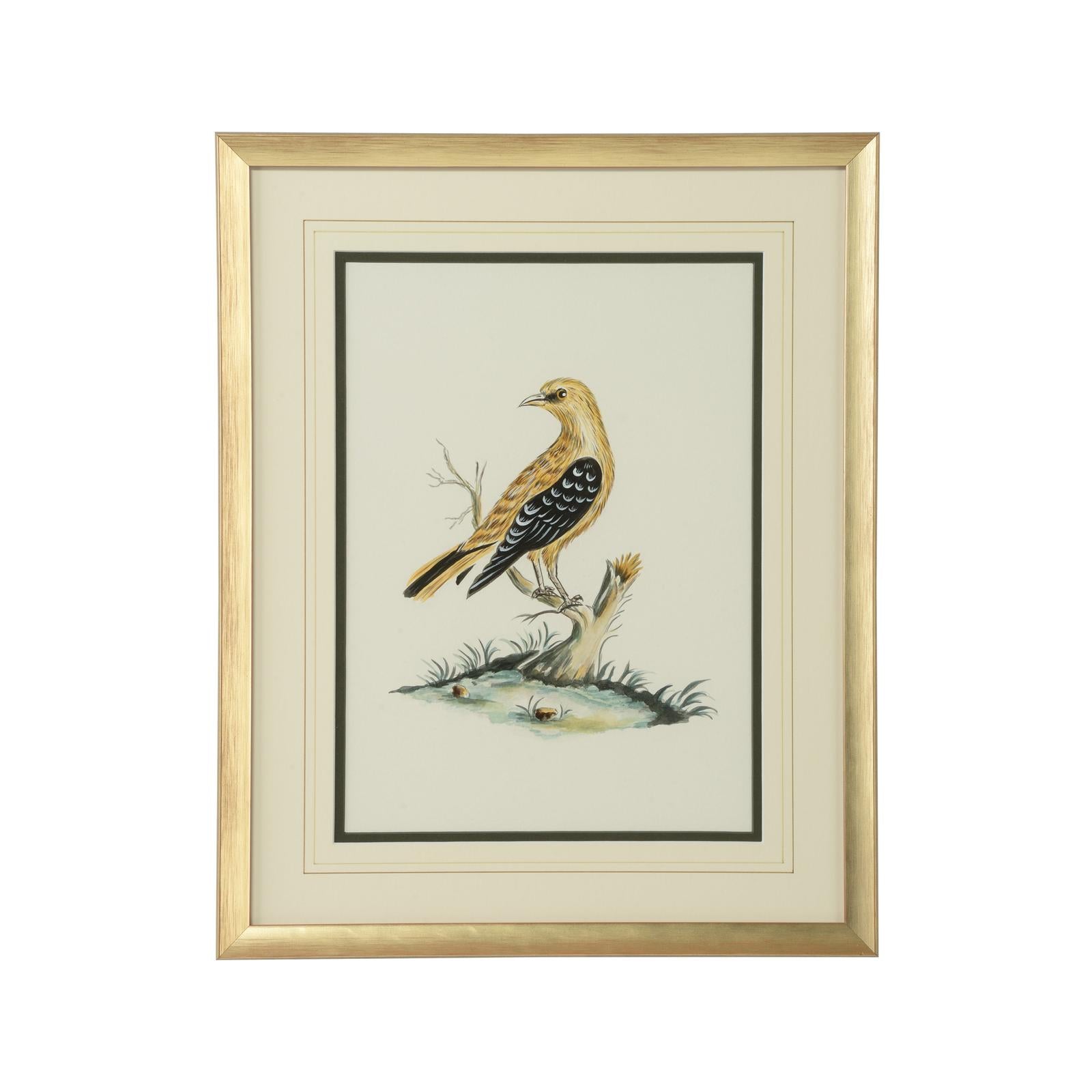 Chelsea House Cain Birds Frame