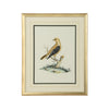 Chelsea House Cain Birds Frame
