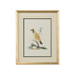 Chelsea House Cain Birds Frame
