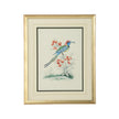 Chelsea House Cain Birds Frame