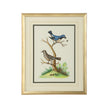 Chelsea House Cain Birds Frame