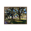 Chelsea House Old Oaks Frame