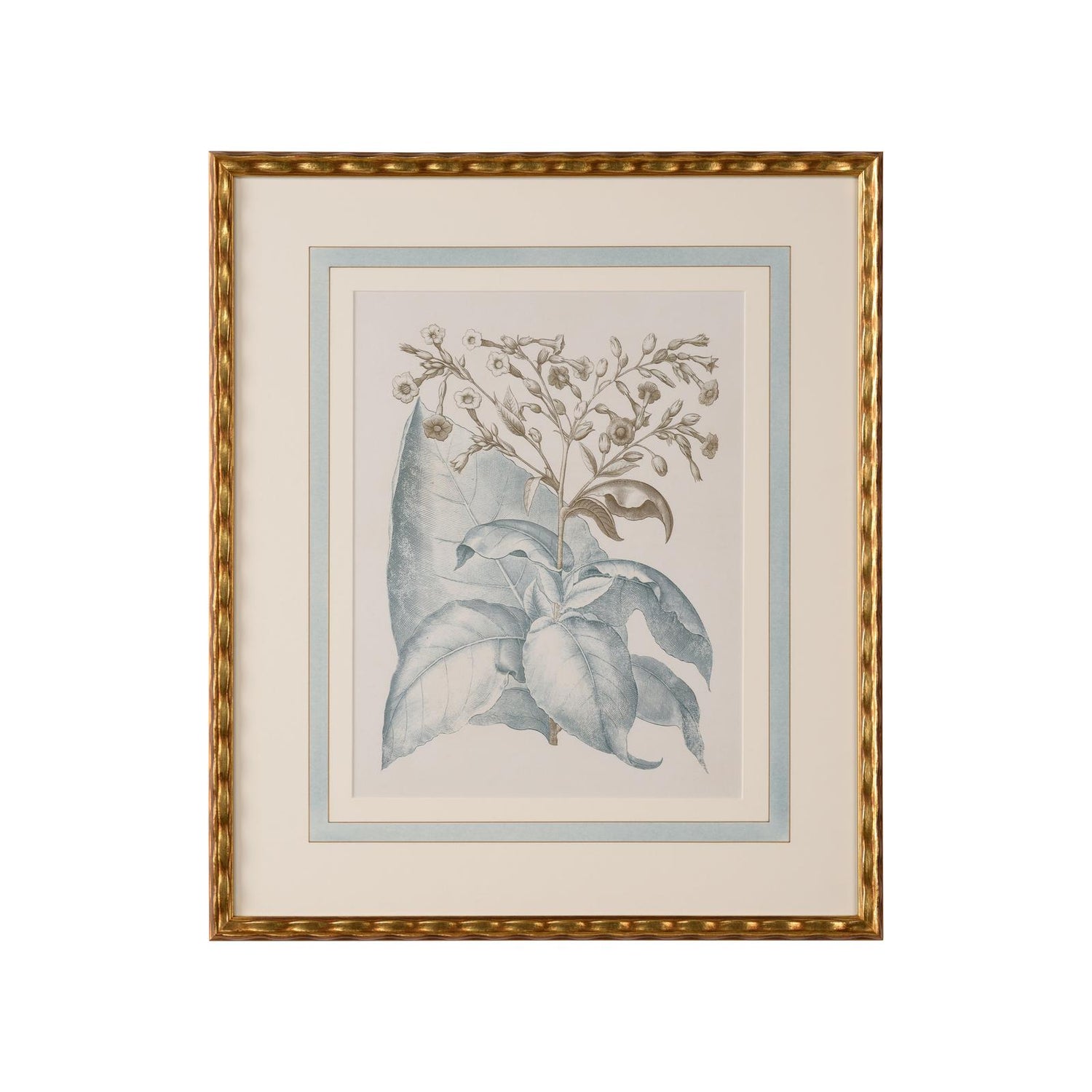 Chelsea House Besler Botanicals Frame, Willow Blue
