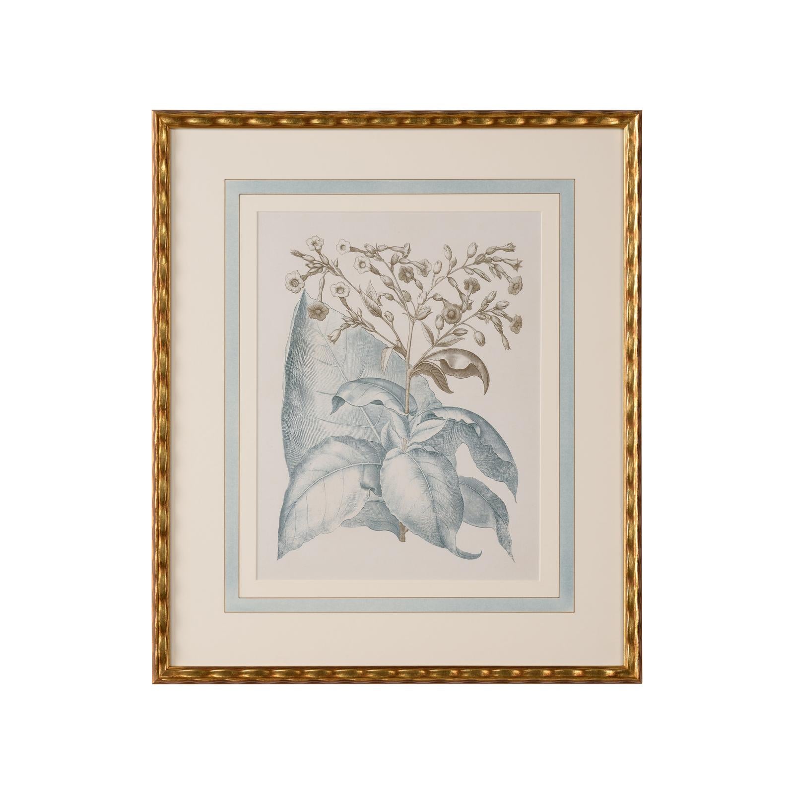 Chelsea House Besler Botanicals Frame, Willow Blue