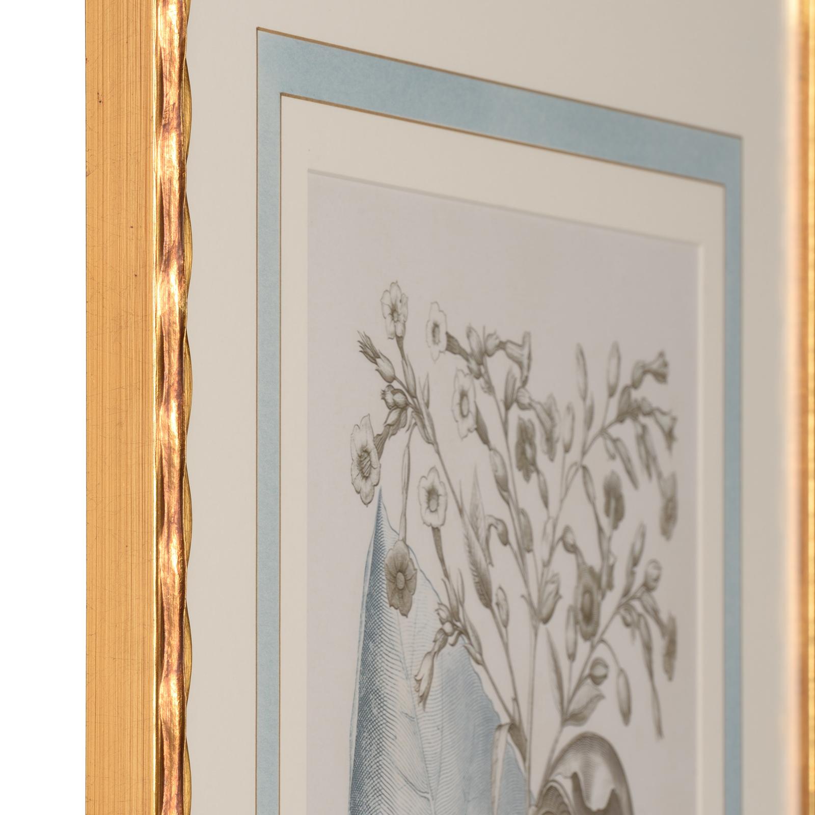 Chelsea House Besler Botanicals Frame, Willow Blue